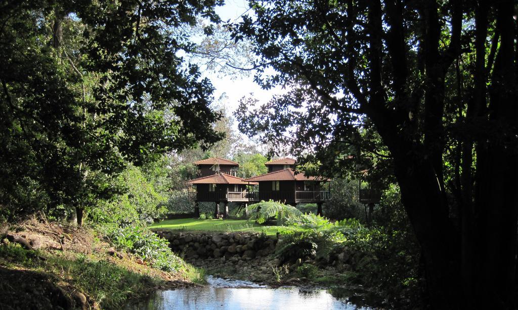 Quinta Das Eiras Santo Antonio da Serra 외부 사진