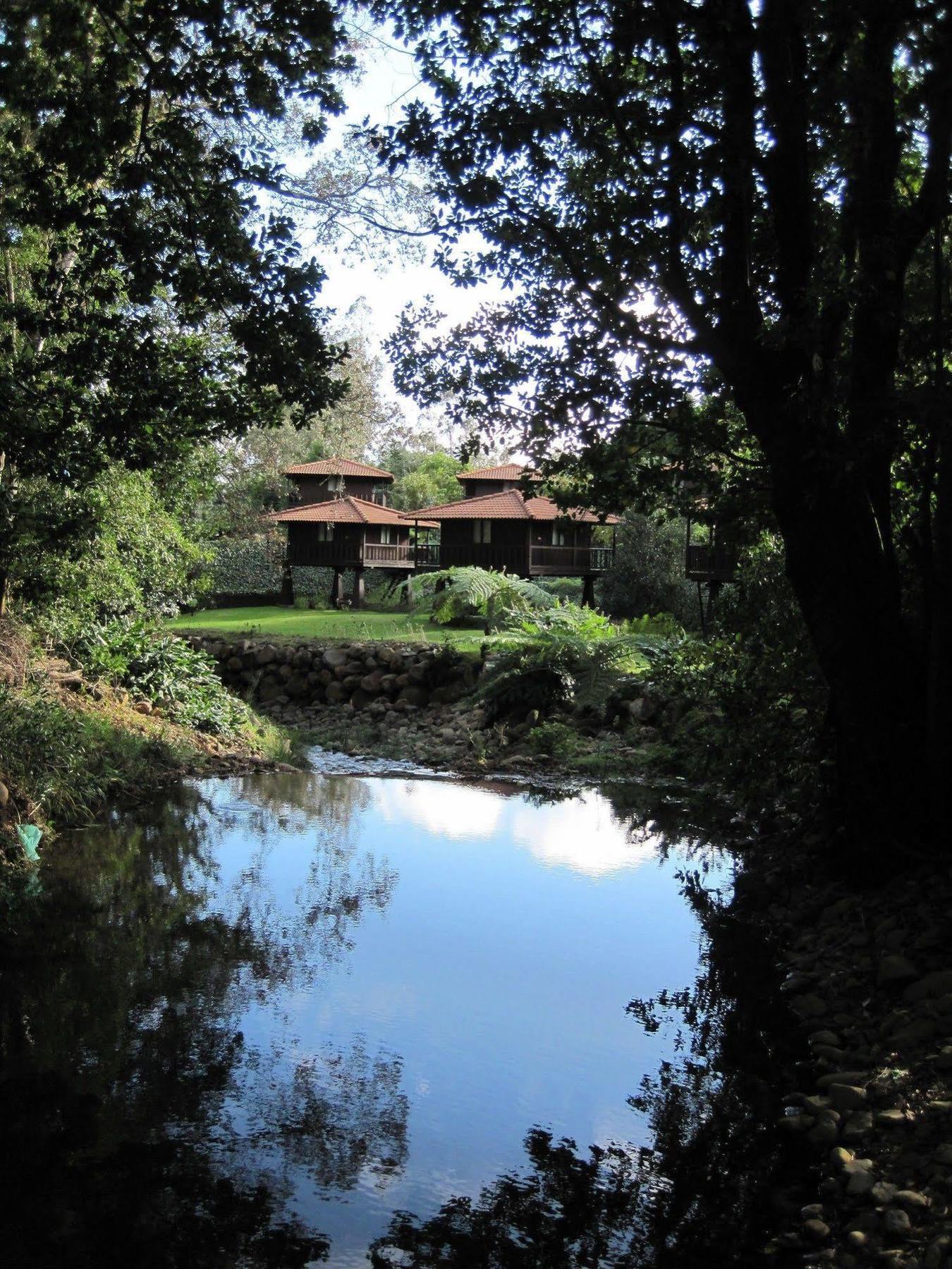 Quinta Das Eiras Santo Antonio da Serra 외부 사진